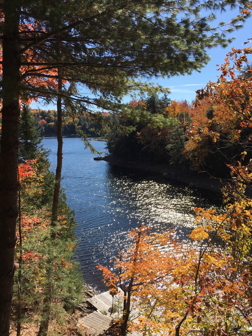 30 FIRE ROUTE 73D, North Kawartha, Ontario, Canada