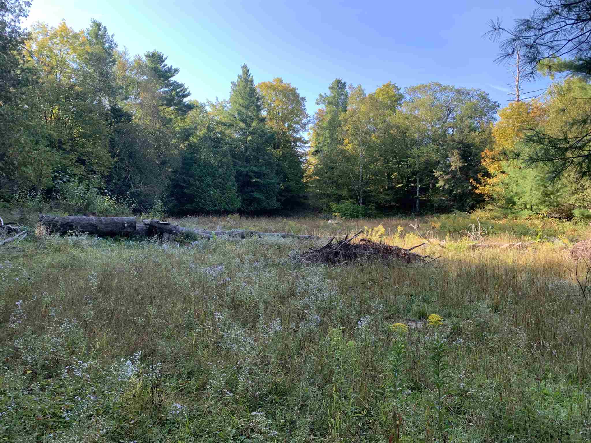 Lot 1 Holleford Road, South Frontenac Ontario, Canada