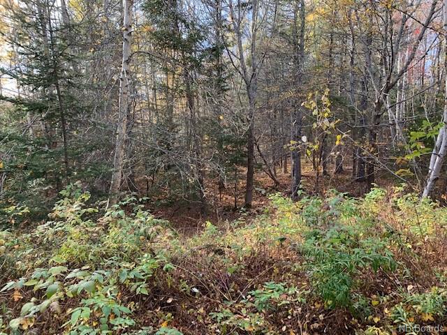 637 Hall Road, Hampton, New Brunswick, Canada