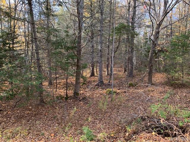 637 Hall Road, Hampton, New Brunswick, Canada