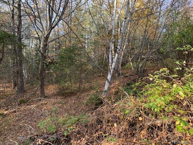 637 Hall Road, Hampton, New Brunswick, Canada