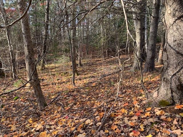 637 Hall Road, Hampton, New Brunswick, Canada