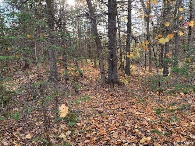 637 Hall Road, Hampton, New Brunswick, Canada