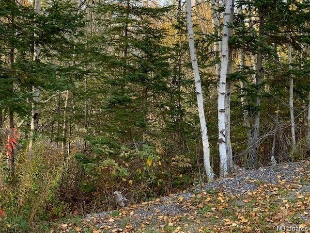 637 Hall Road, Hampton, New Brunswick, Canada