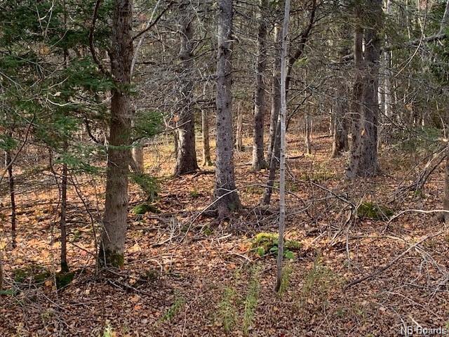 637 Hall Road, Hampton, New Brunswick, Canada