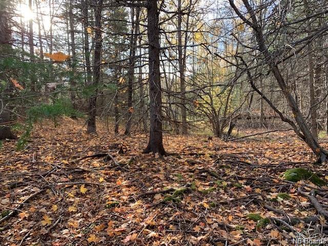 637 Hall Road, Hampton, New Brunswick, Canada