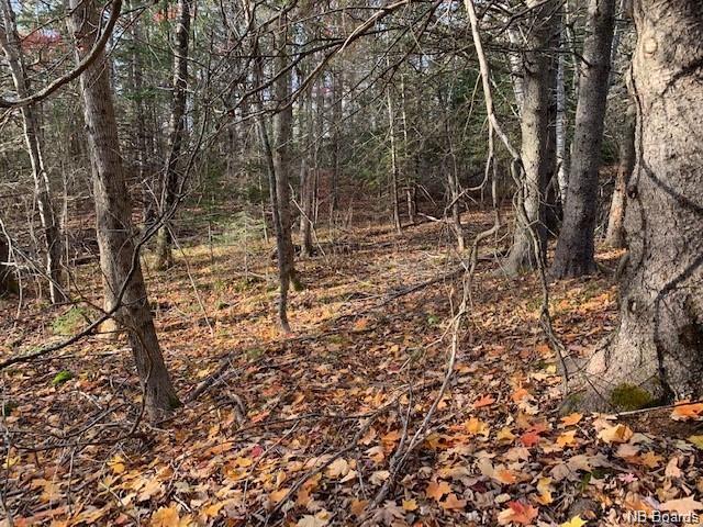 637 Hall Road, Hampton, New Brunswick, Canada