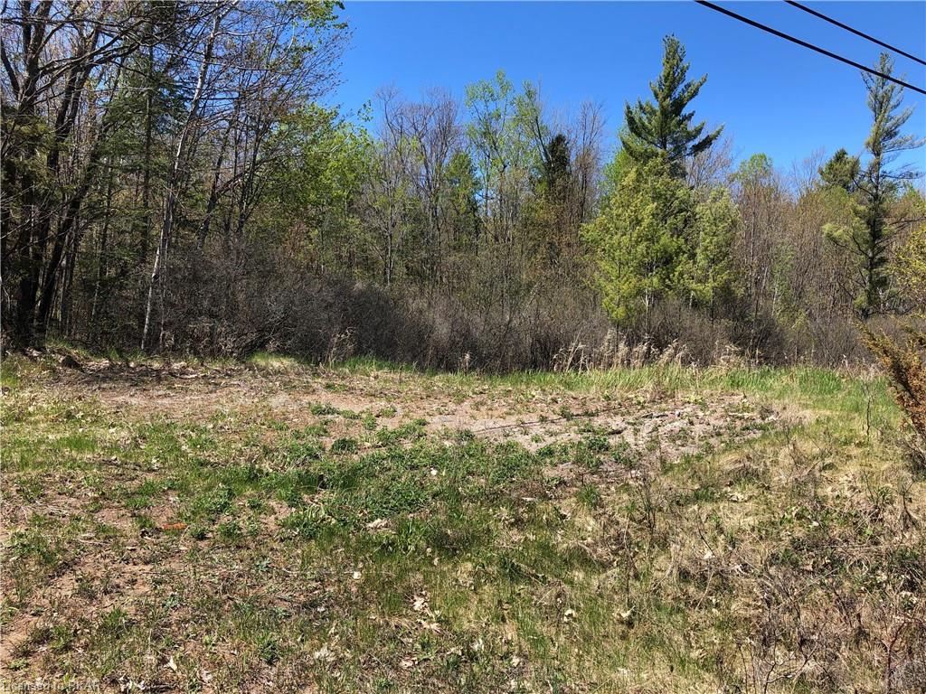 COUNTY ROAD 36 ., Buckhorn Ontario, Canada