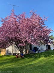 27 Honeysuckle Road, Havelock Ontario