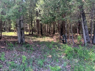 pt 3 county road 46, Havelock Ontario, Canada