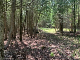 pt 3 county road 46, Havelock Ontario, Canada