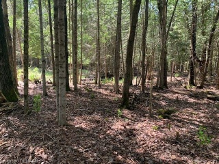 Pt 3 County Road 46, Havelock Ontario
