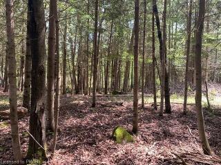 Pt 3 County Road 46, Havelock Ontario