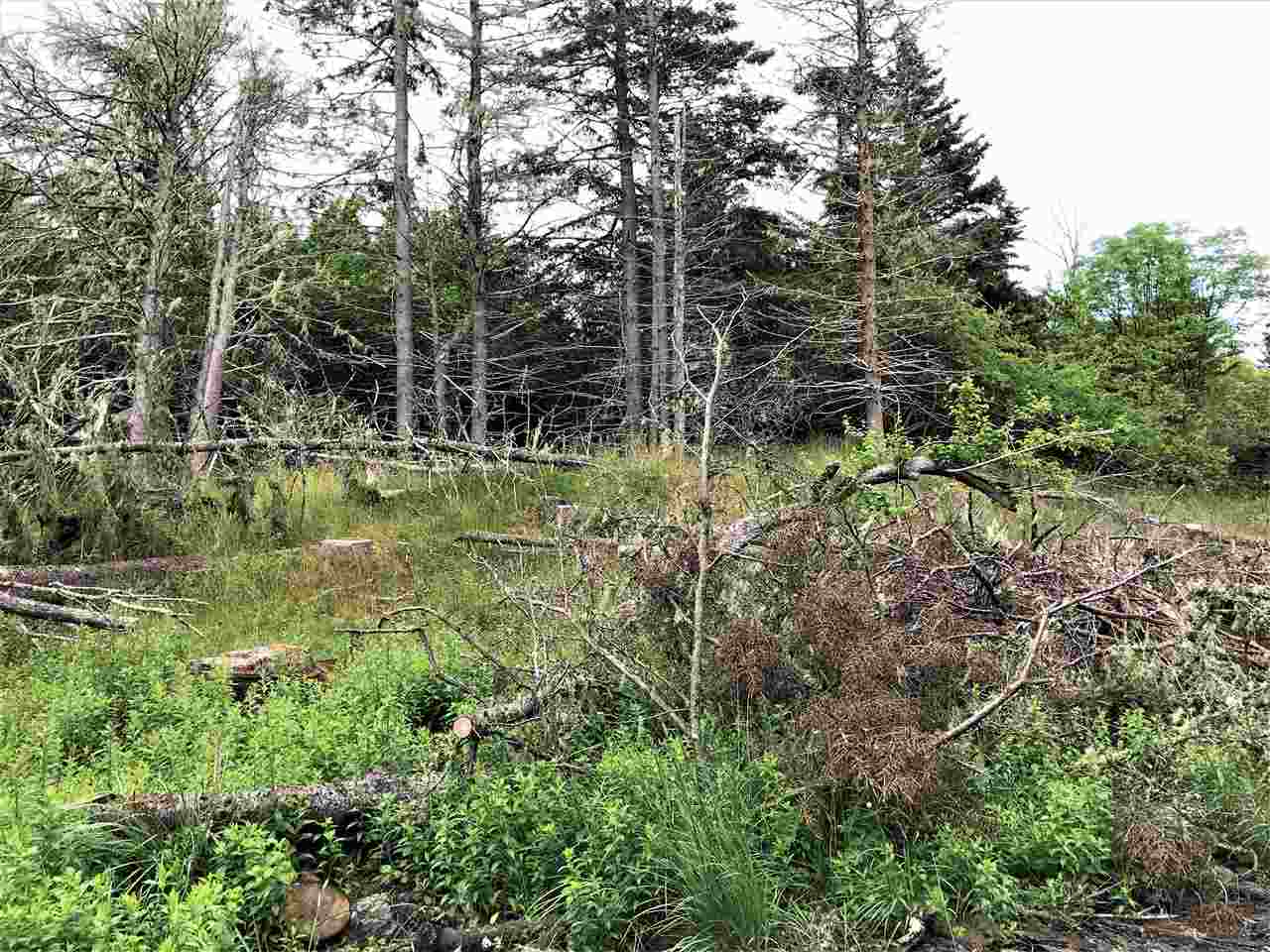 Lot 23 Highway 331, West Dublin Nova Scotia, Canada