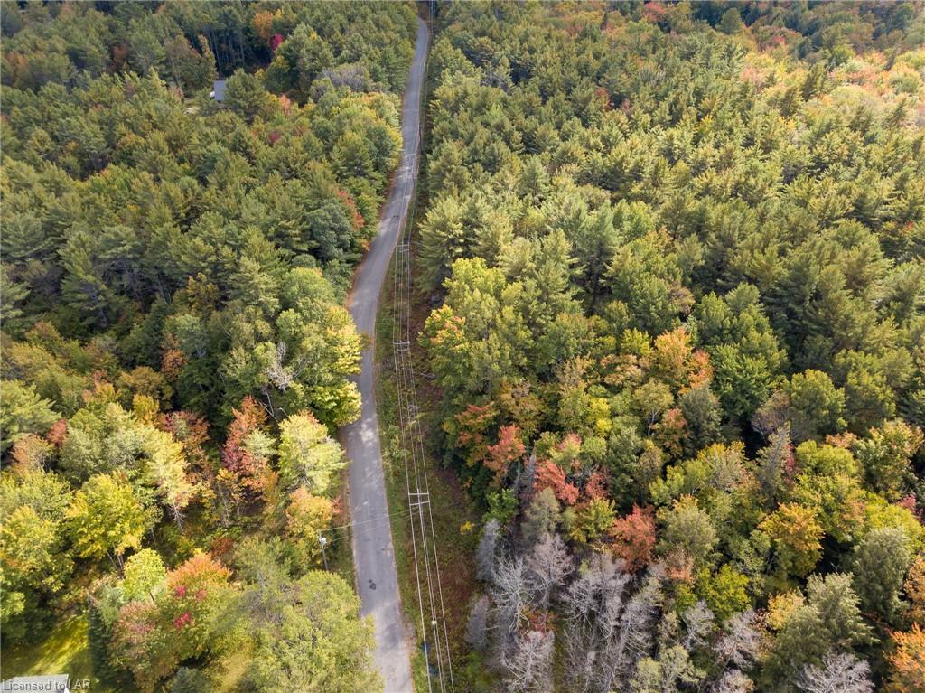 . OLD MUSKOKA Road, Utterson Ontario, Canada