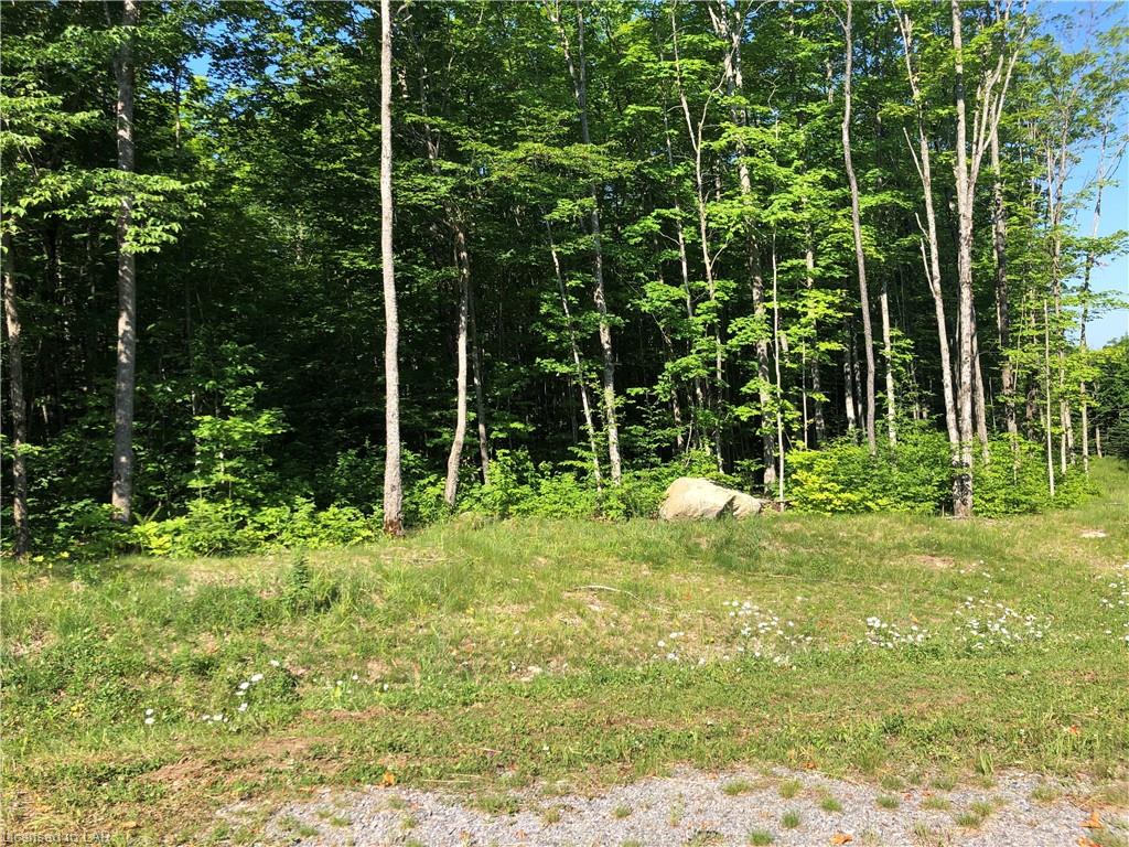 LOT 7 MILLIE'S Way, Burk's Falls Ontario, Canada