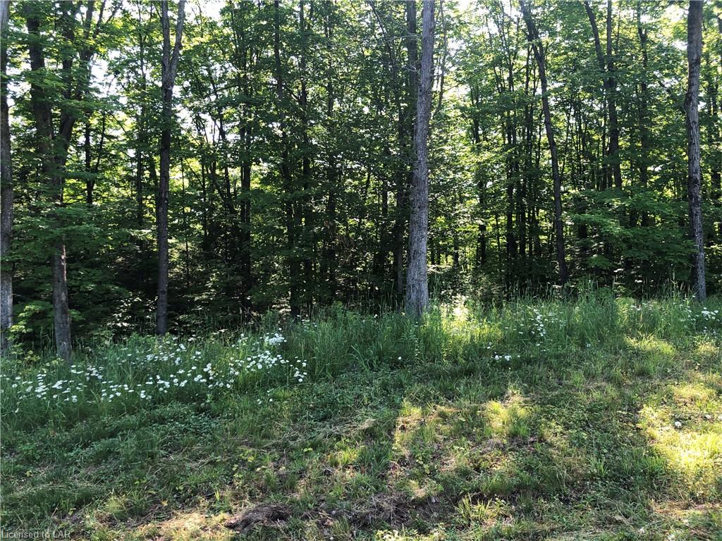 LOT 11 MILLIE'S Way, Burk's Falls Ontario, Canada