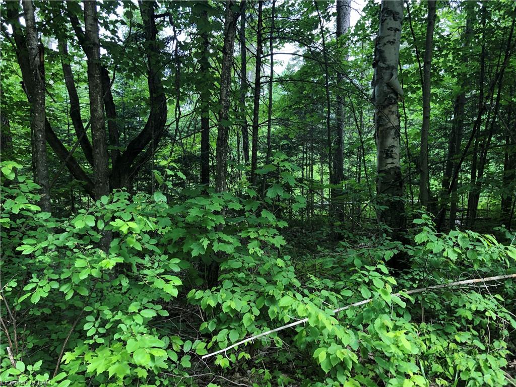 LOT 2 MCMULLEN Drive, Emsdale Ontario, Canada