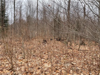 LOT 54 OFF OF ECHO RIDGE Road, Kearney Ontario, Canada