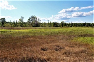 SNIDER Road, Verona Ontario, Canada
