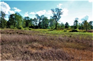 00 SNIDER Road, Verona Ontario, Canada