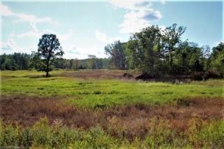 000 SNIDER Road, Verona Ontario, Canada