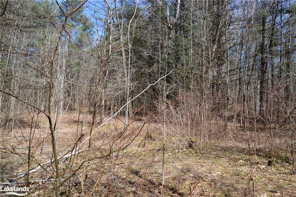 1092 LAIDLAW Avenue, Washago, Ontario, Canada