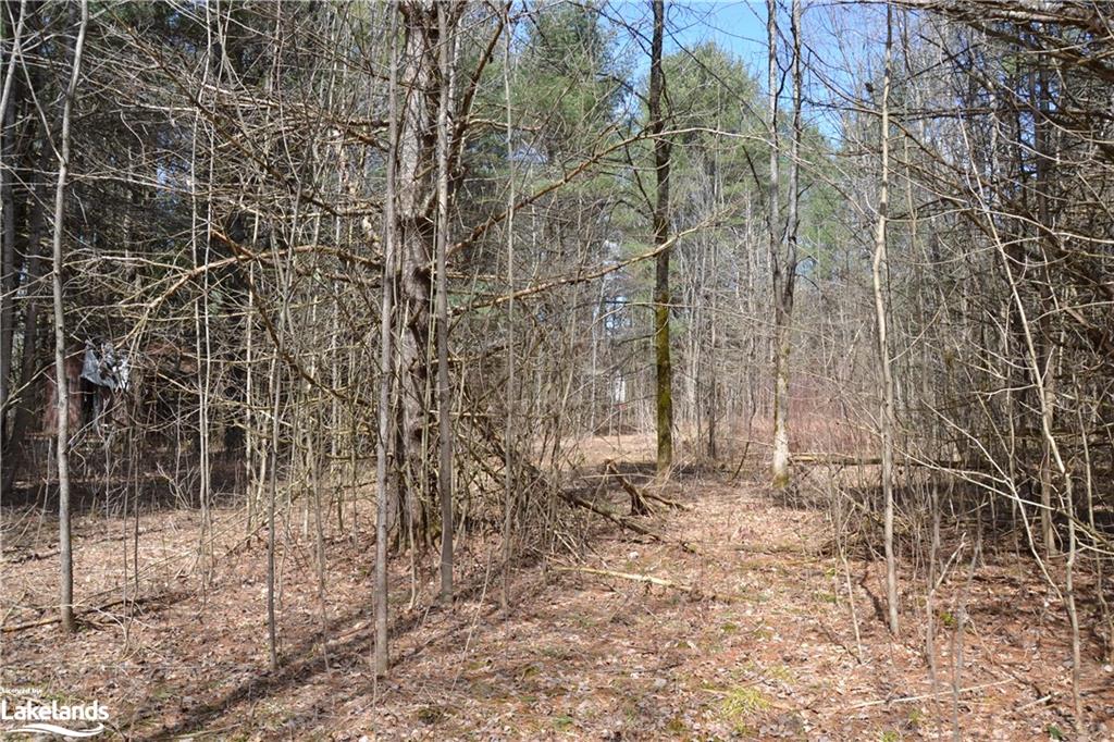 1092 LAIDLAW Avenue, Washago, Ontario, Canada