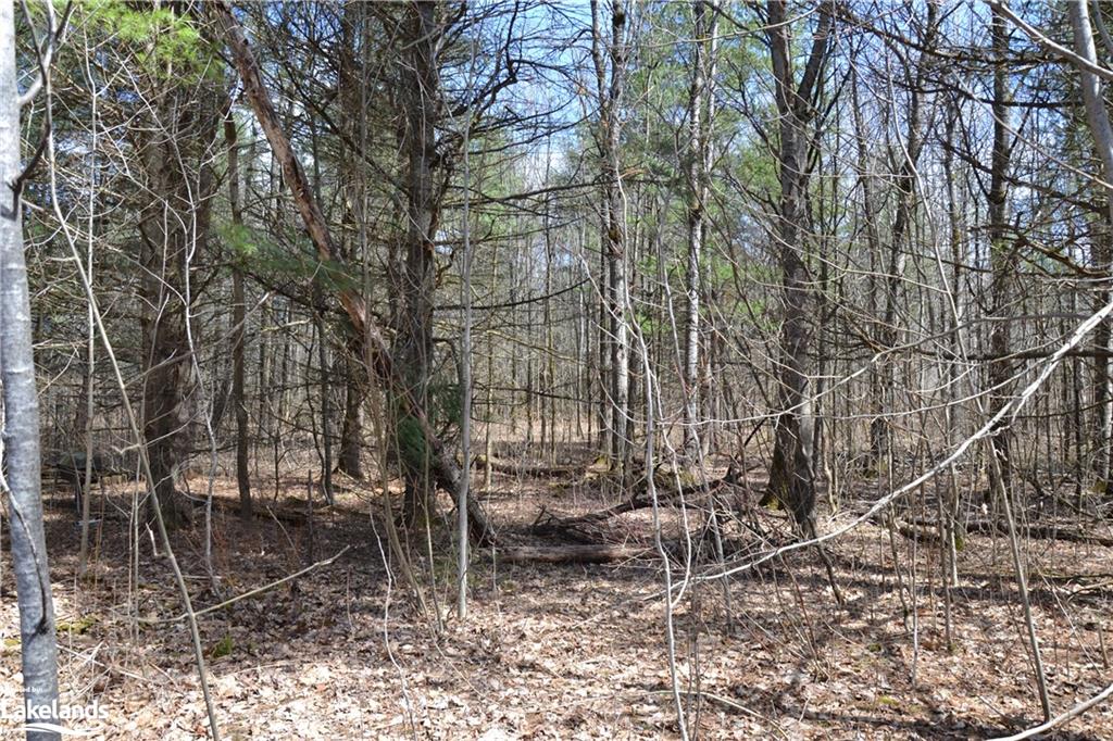 1092 LAIDLAW Avenue, Washago, Ontario, Canada