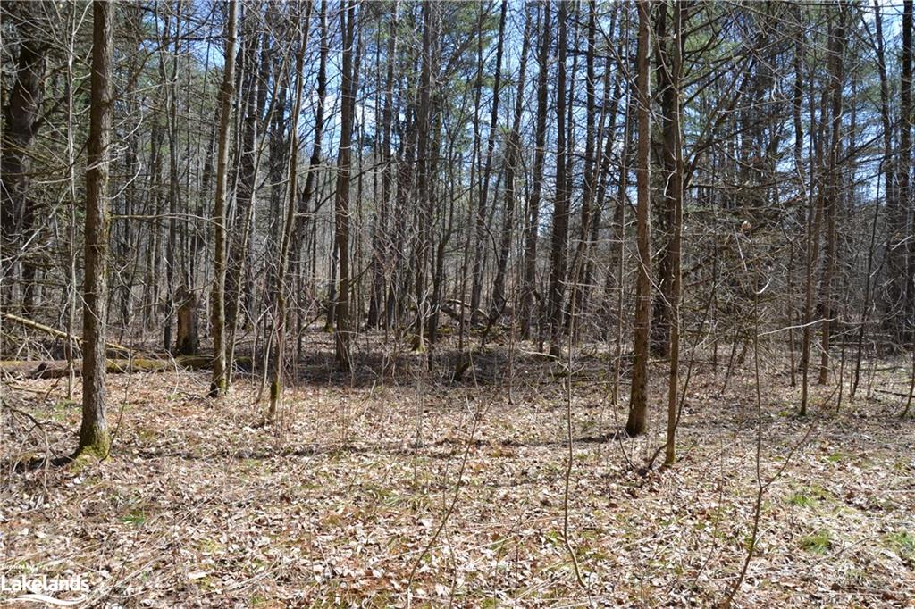 1092 LAIDLAW Avenue, Washago, Ontario, Canada