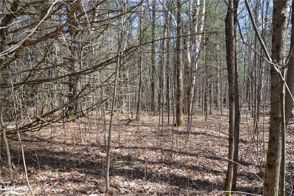 1092 LAIDLAW Avenue, Washago, Ontario, Canada