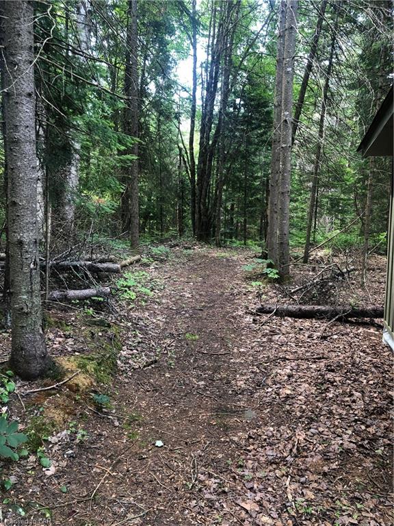Tattersal Road, Haliburton Ontario, Canada