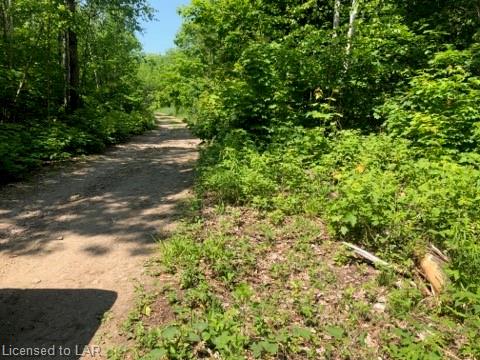 Lot 102 Basshaunt Lake Road, Haliburton Ontario, Canada