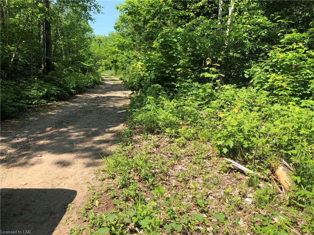 Lot 105 Basshaunt (south) Lake Road, Haliburton Ontario, Canada