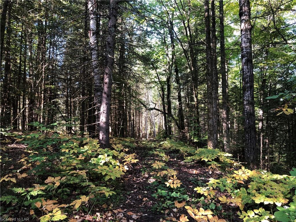 2328 Ib & O Rail Trail, Tory Hill Ontario, Canada
