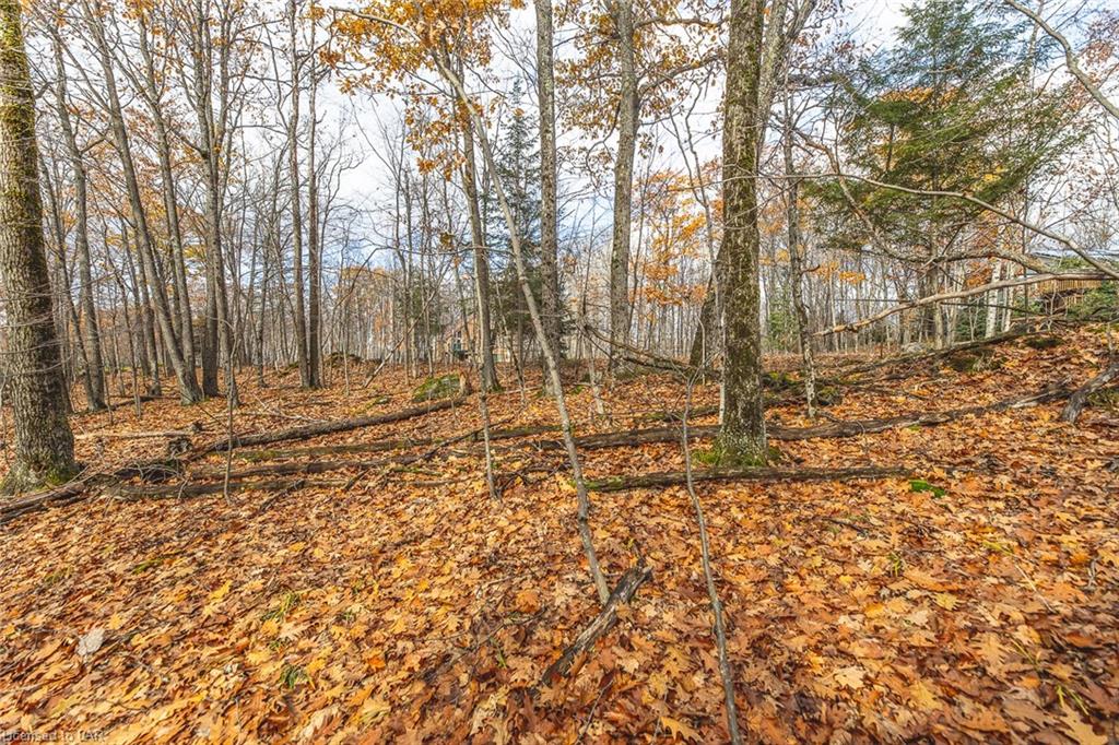 Lt 17 Sunnyside Street, Haliburton Ontario, Canada