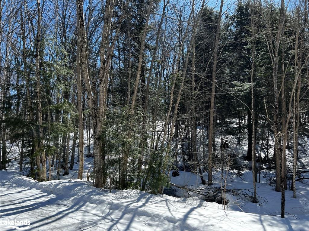 Basshaunt Lake Road, Haliburton Ontario, Canada
