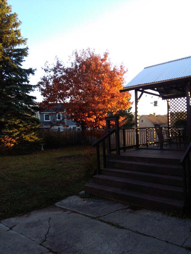 2557 SANDRA AVE, North Bay, Ontario, Canada