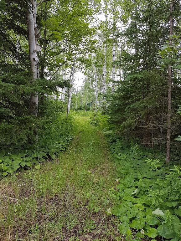 693 GROULX RD, East Ferris, Ontario, Canada