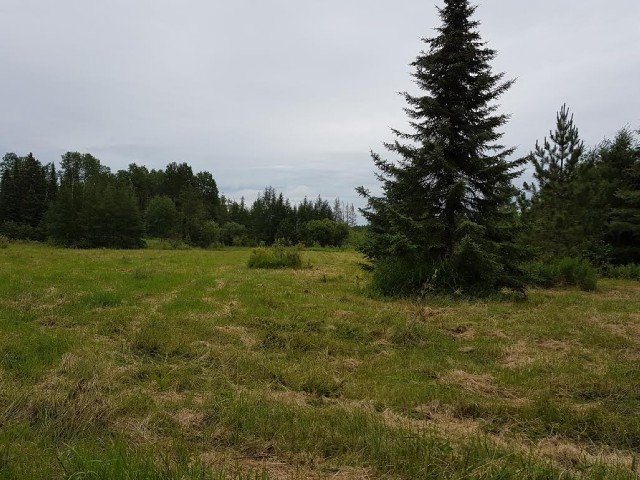 693 GROULX RD, East Ferris, Ontario, Canada