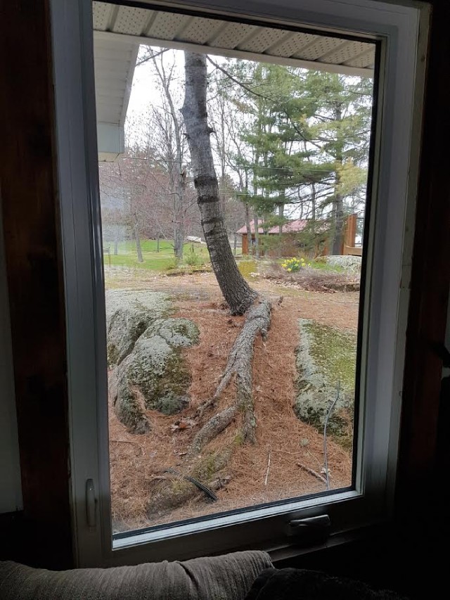 116 HINCHBERGER BAY RD A, Callander, Ontario, Canada