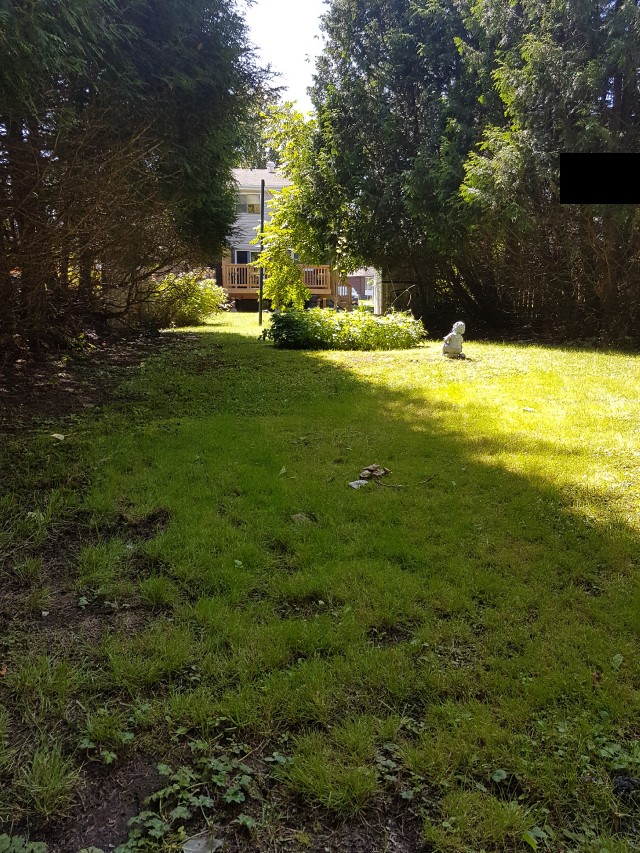 278 BARBER AVE, North Bay, Ontario, Canada