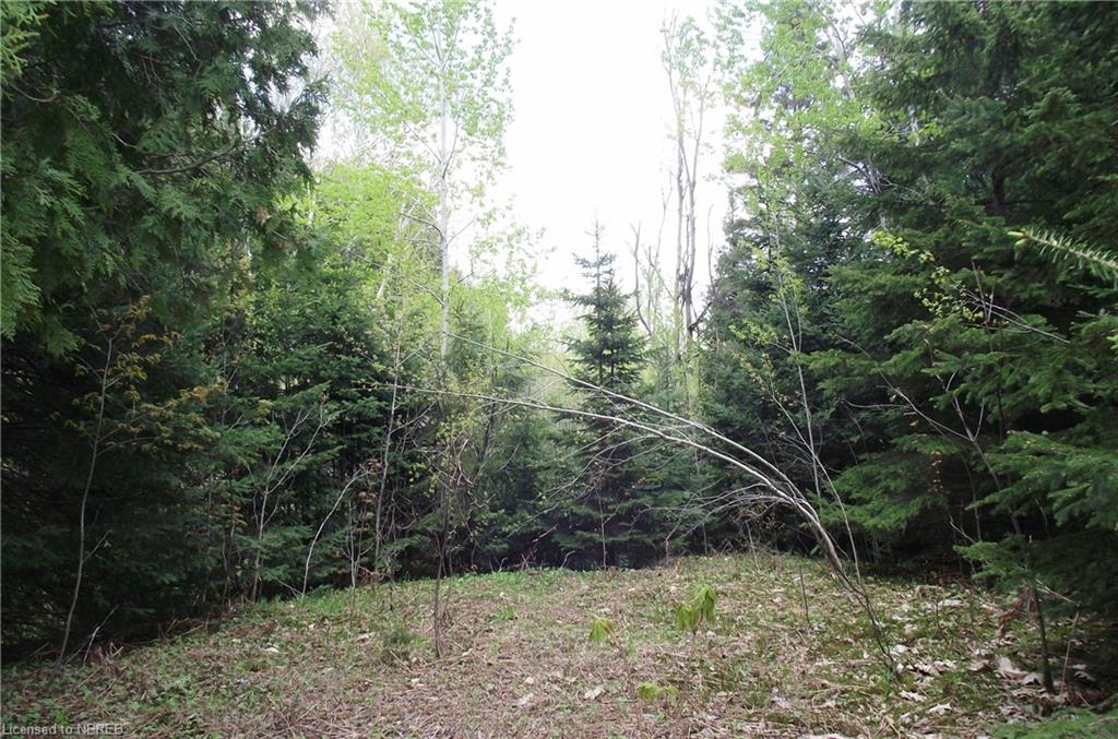 LOT 3 MOUNT PLEASANT Road, Calvin Ontario, Canada