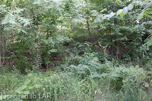 220 RIDGE Road, Gravenhurst Ontario, Canada