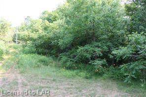 220 RIDGE Road, Gravenhurst Ontario, Canada