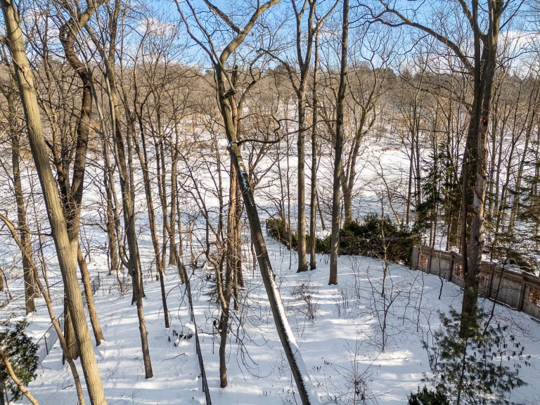 8 Grenadier Ravine Drive, Toronto, Ontario, Canada photo 5