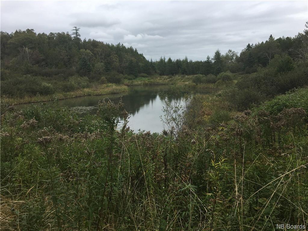- Ashburn Road, Saint John, New Brunswick, Canada