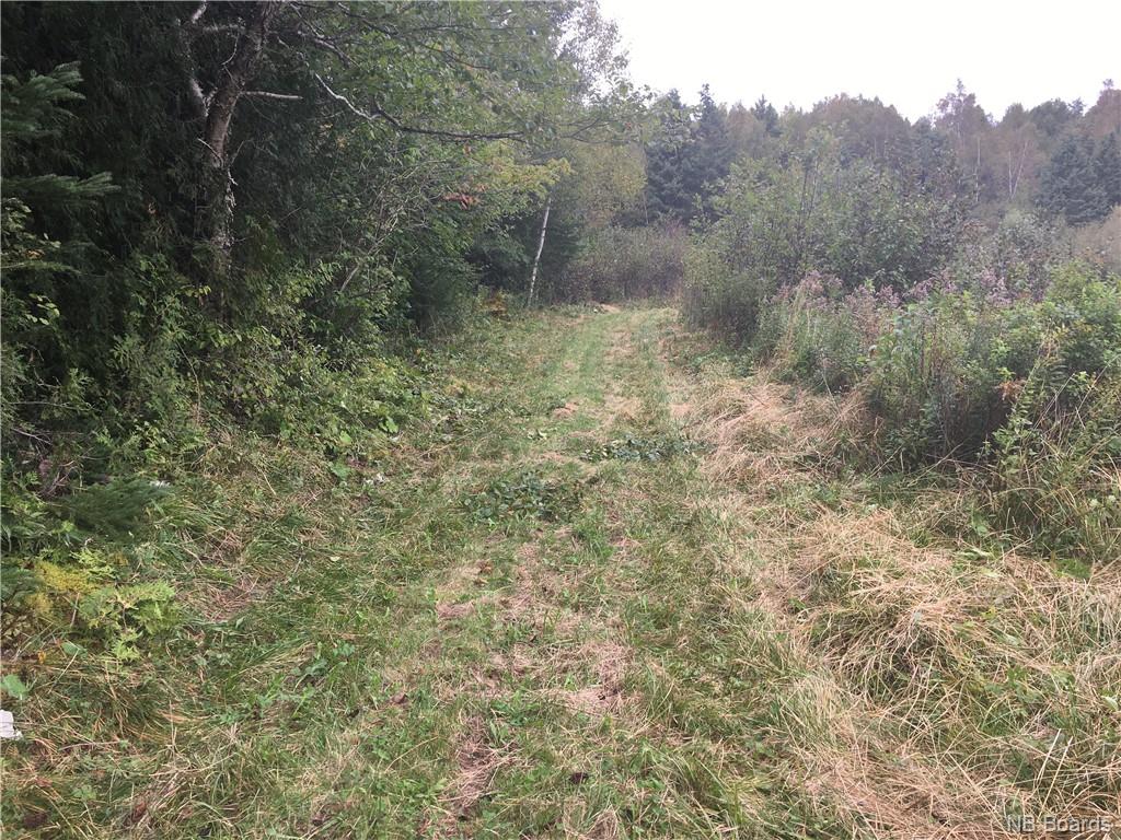- Ashburn Road, Saint John, New Brunswick, Canada