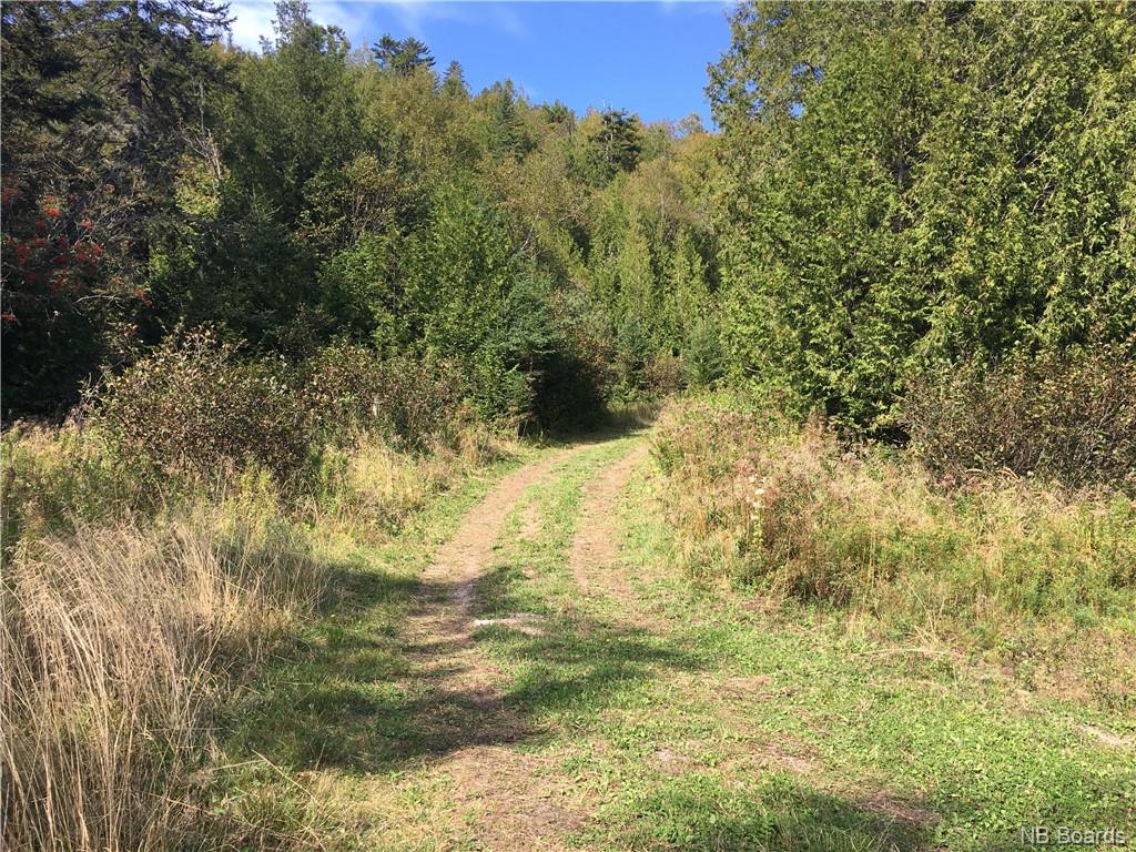 - Ashburn Road, Saint John, New Brunswick, Canada