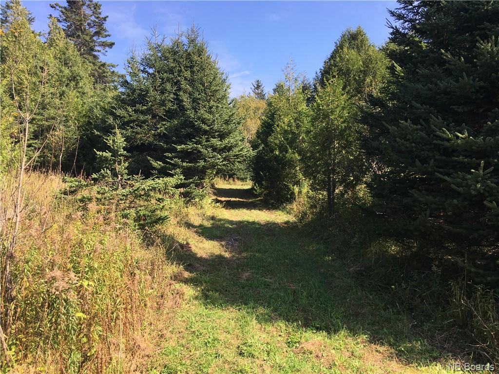 - Ashburn Road, Saint John, New Brunswick, Canada